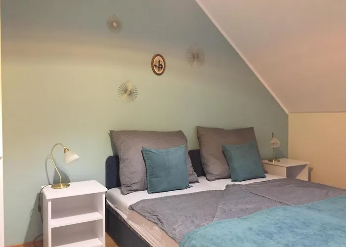 Kikerics Vendeghaz 住宿加早餐酒店 维拉尼